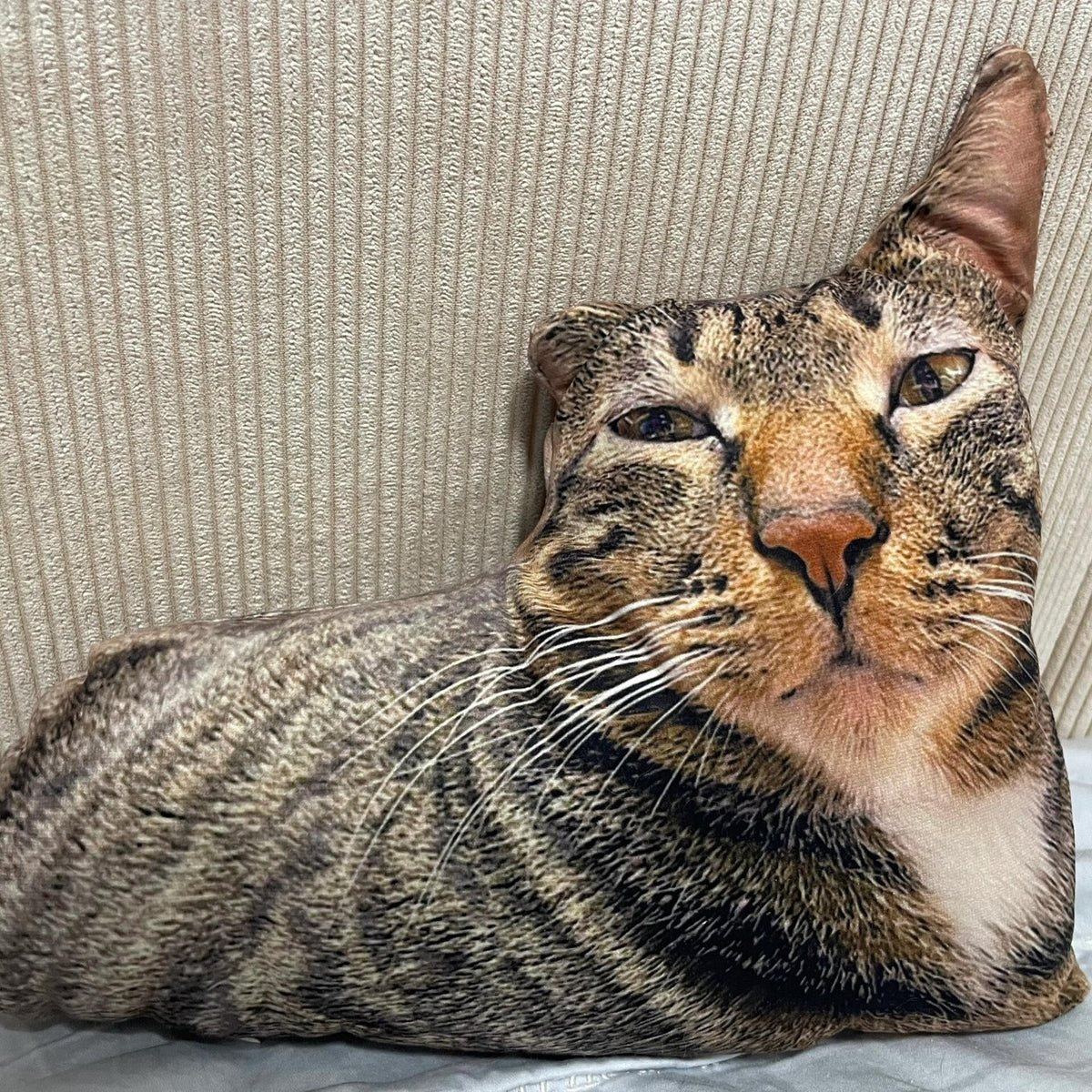 A cat-shaped pillow propped against a sofa, wearing a deeply unimpressed expression