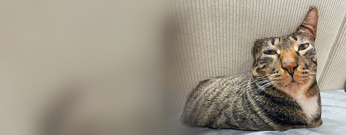 A cat-shaped pillow propped against a sofa, wearing a deeply unimpressed expression