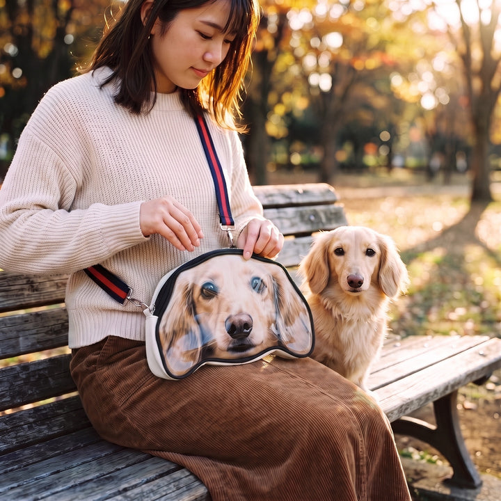 The bag worn on a park bench with the real dog sitting alongside
