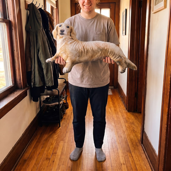 A person in a hallway holding a pillow cut to the outline of their long-haired dachshund, printed edge to edge