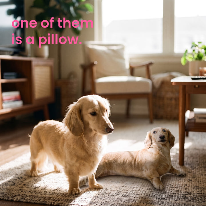 The real dog standing beside its own pillow on the rug. One of them is a pillow.
