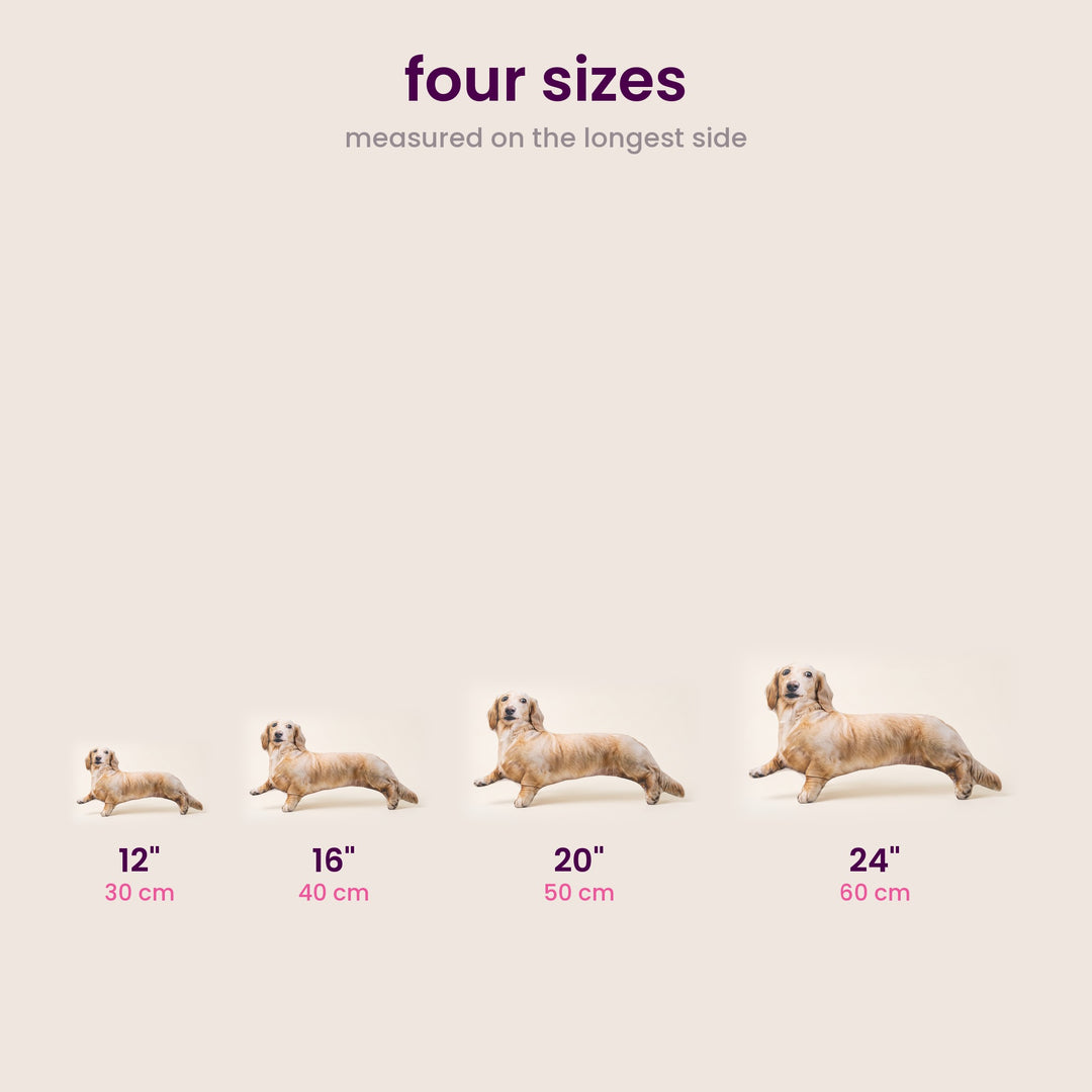 Size chart: four sizes measured on the longest side, 12, 16, 20 and 24 inches