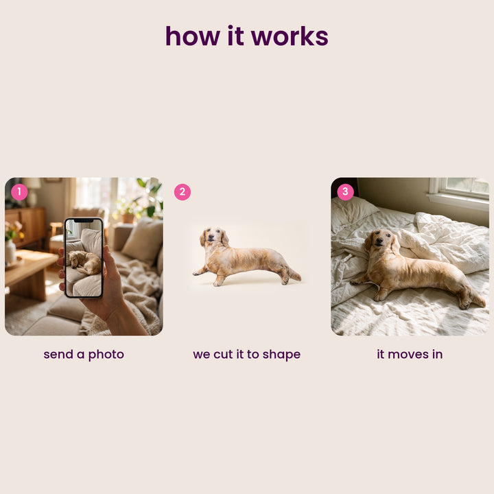 How it works: send a photo, we cut it to shape, it moves in