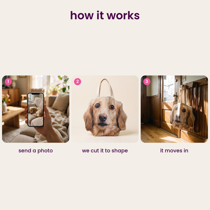 How it works: send a photo, we cut it to shape, it moves in
