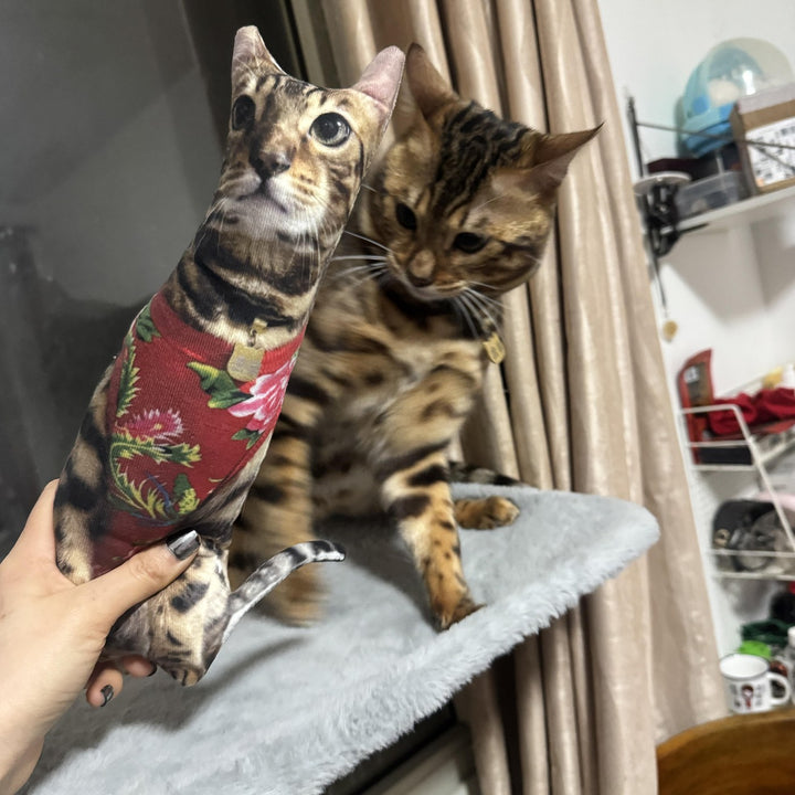 A bengal cat beside a pillow cut to its own outline