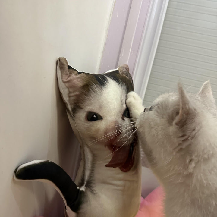 A cat reaching out to touch a pillow cut to its own shape